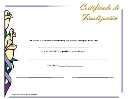 Certificado de Finalizacíon certificate