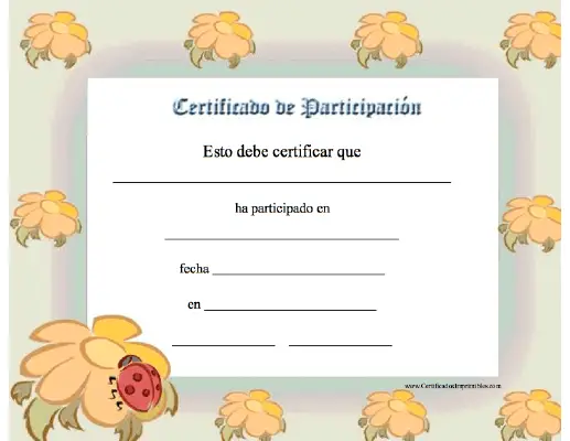 Certificado de Participación certificate