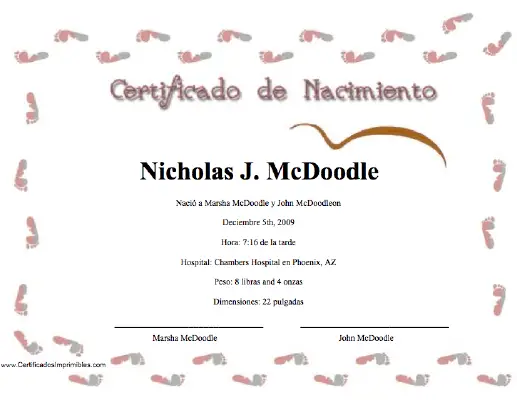 Certificado de Nacimiento certificate