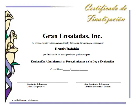 Certificado de Finalizacíon certificate