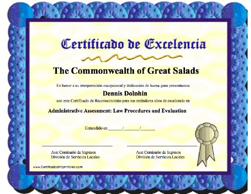 Certificado De Excelencía 9308