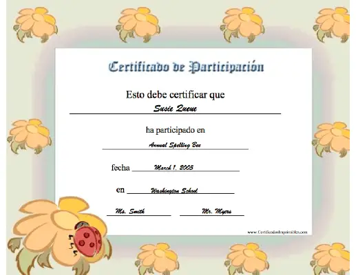 Certificado de Participación certificate